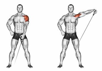 Lateral Raise Machine / Cable Lateral Raise