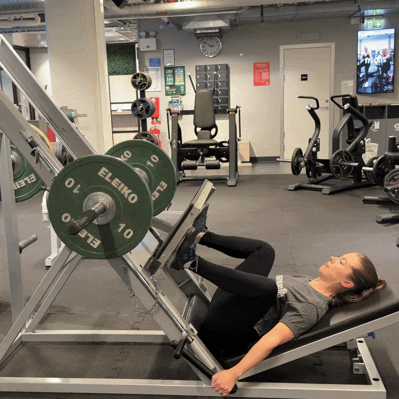 Leg Press