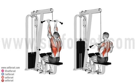 Neutral Grip Lat Pulldown / Close Grip Pulldown
