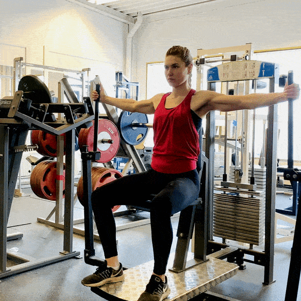 Pec Deck / Chest Fly Machine